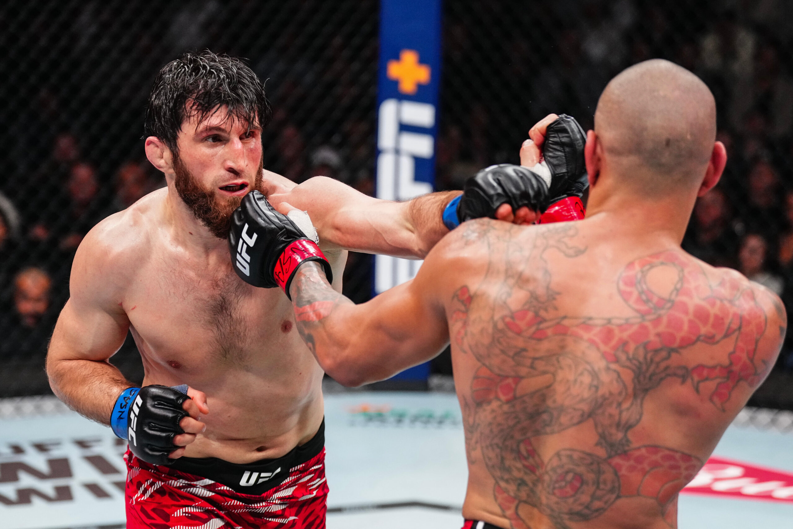 UFC 313 results: Magomed Ankalaev dethrones Alex Pereira with polarizing decision
